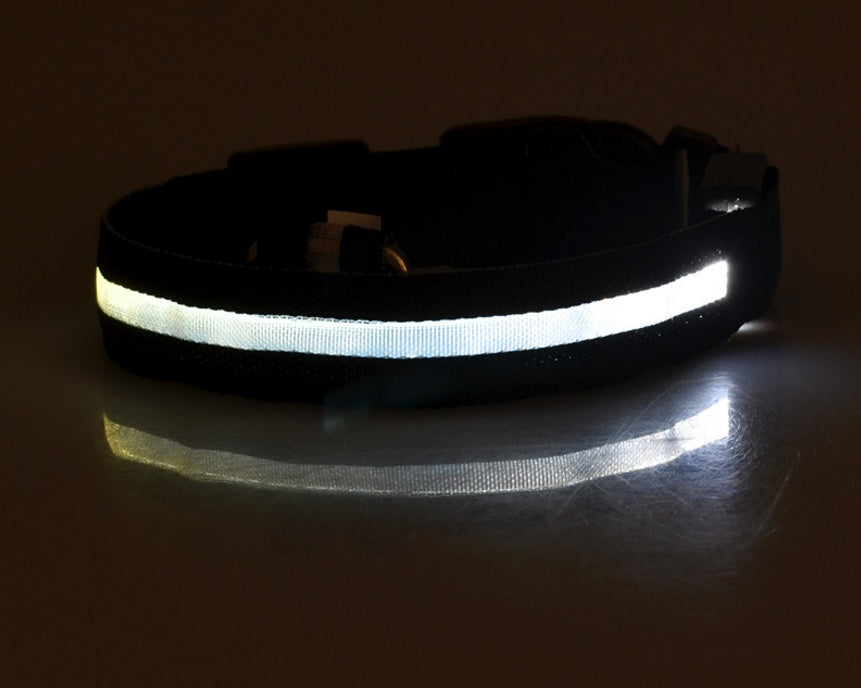 make your pet happy | LED-Leuchthalsband für Hunde – Sichtbar & Sicher