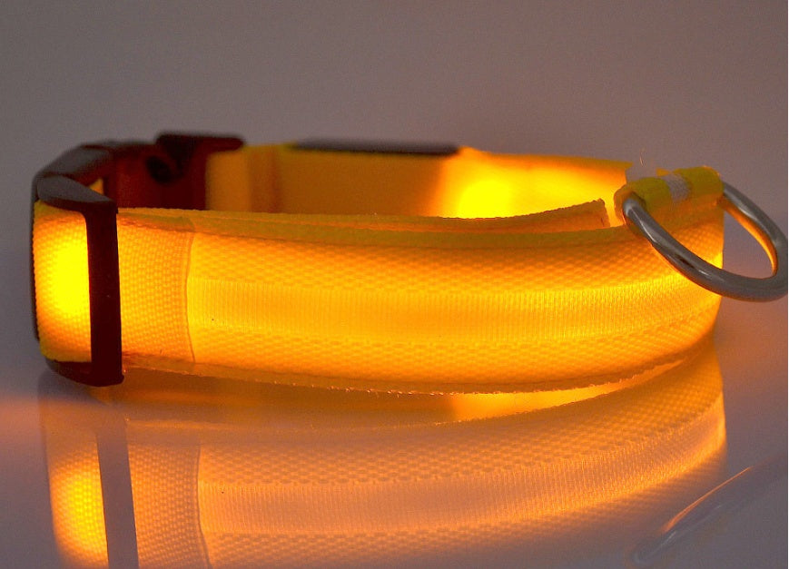 make your pet happy | LED-Leuchthalsband für Hunde – Sichtbar & Sicher