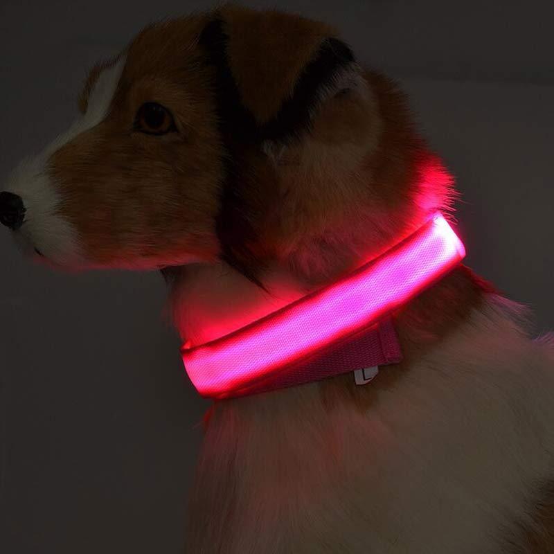 make your pet happy | LED-Leuchthalsband für Hunde – Sichtbar & Sicher