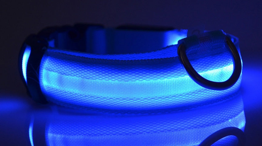 make your pet happy | LED-Leuchthalsband für Hunde – Sichtbar & Sicher