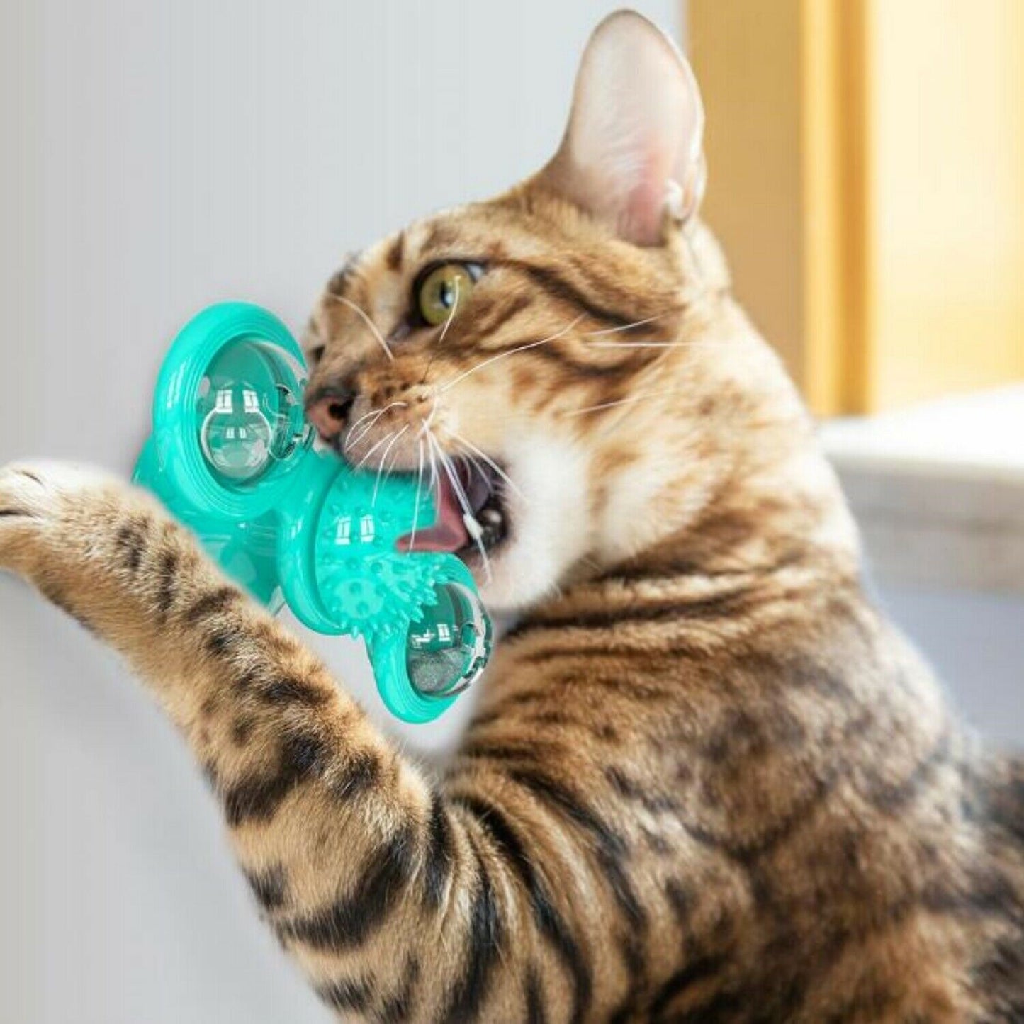 Neue Windmühlen-Katzenspielzeuge – niedliches, interaktives, rotierendes Spielzeug für drinnen mit Saugnapf, Katzenminze & gezacktem Mittelkugel, intelligenter Kitten-Rotationsspinner, Trainingsspielzeug, Zahnbürste & Massagefunktion